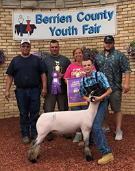 Plank Sheep Co. Winners